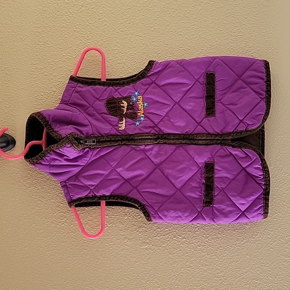 *3/$15* Arctic Circle Enterprises Girls 2T Purple & Brown Alaska 💜 Quilt